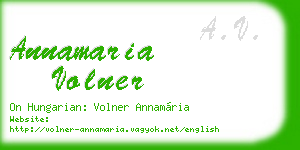 annamaria volner business card